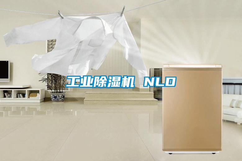 工業(yè)除濕機 NLD