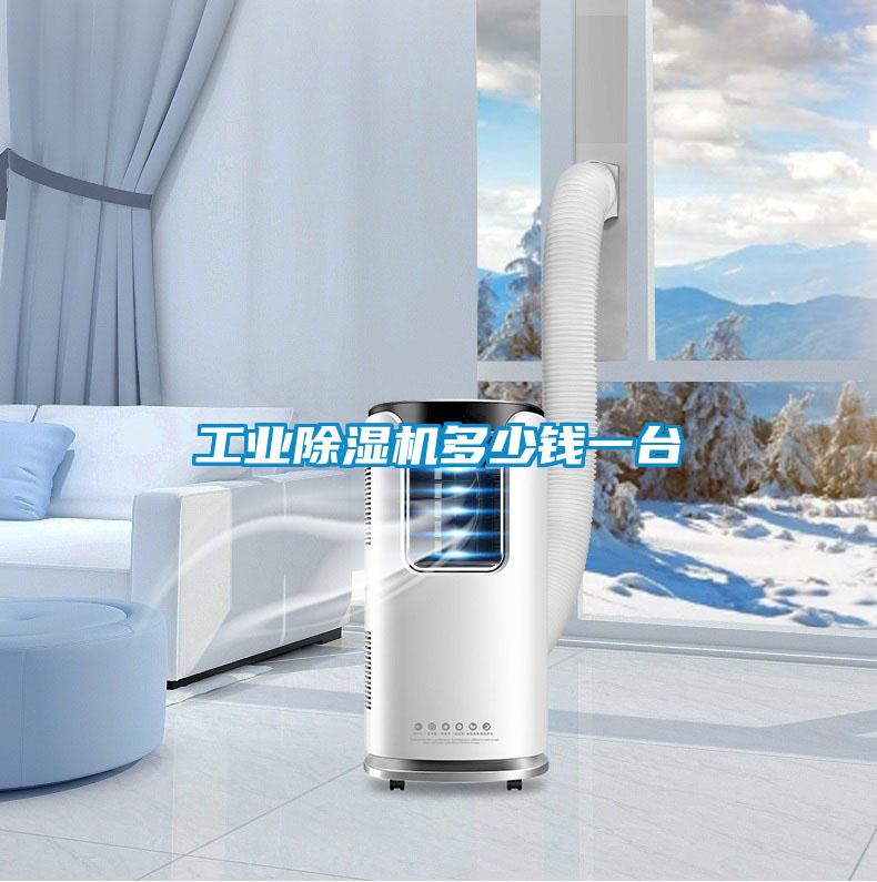 工業(yè)除濕機(jī)多少錢一臺(tái)