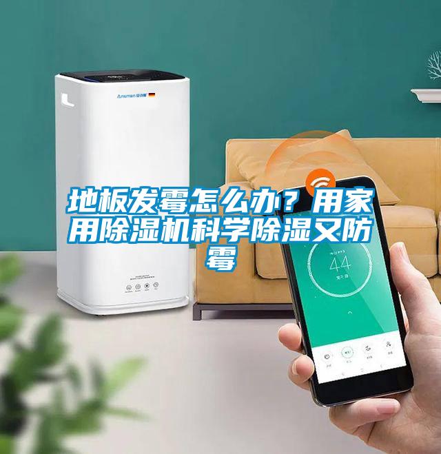 地板發(fā)霉怎么辦？用家用除濕機科學(xué)除濕又防霉