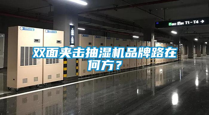 雙面夾擊抽濕機品牌路在何方？