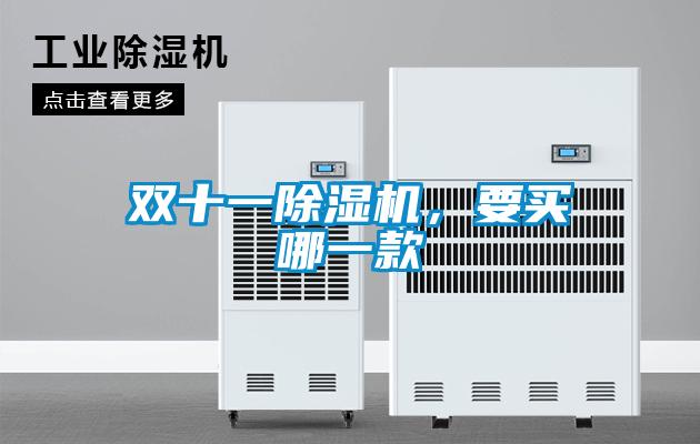 雙十一除濕機，要買哪一款