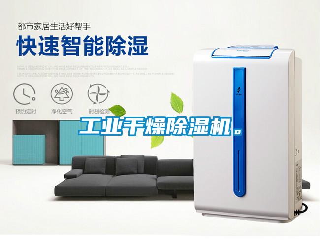 工業(yè)干燥除濕機(jī)。