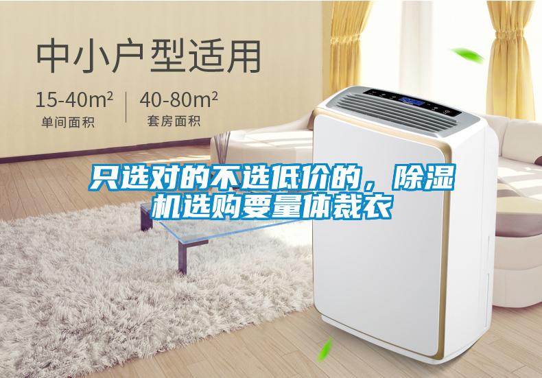 只選對的不選低價的，除濕機(jī)選購要量體裁衣