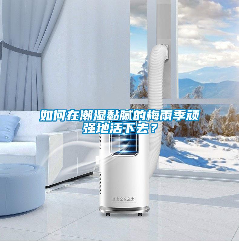 如何在潮濕黏膩的梅雨季頑強地活下去？