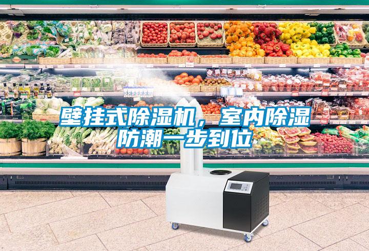 壁掛式除濕機，室內(nèi)除濕防潮一步到位