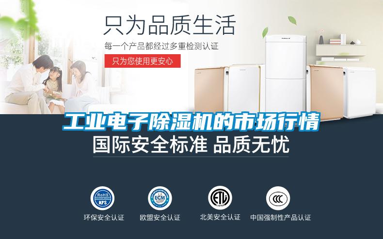 工業(yè)電子除濕機(jī)的市場行情