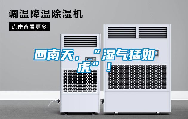回南天，“濕氣猛如虎”！