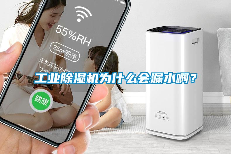 工業(yè)除濕機(jī)為什么會(huì)漏水?。?/></p>
						    <p style=