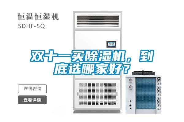 雙十一買除濕機(jī)，到底選哪家好？