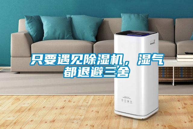 只要遇見除濕機，濕氣都退避三舍