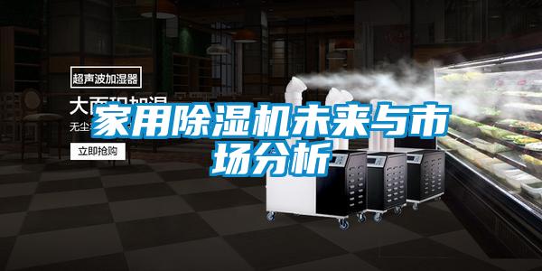 家用除濕機(jī)未來與市場分析