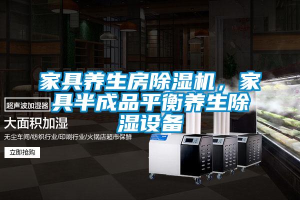 家具養(yǎng)生房除濕機，家具半成品平衡養(yǎng)生除濕設(shè)備