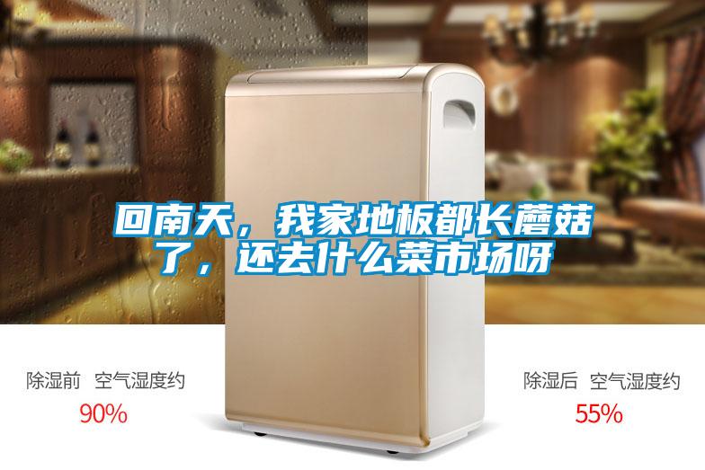 回南天，我家地板都長(zhǎng)蘑菇了，還去什么菜市場(chǎng)呀
