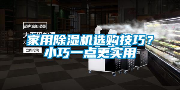 家用除濕機(jī)選購技巧？小巧一點(diǎn)更實(shí)用