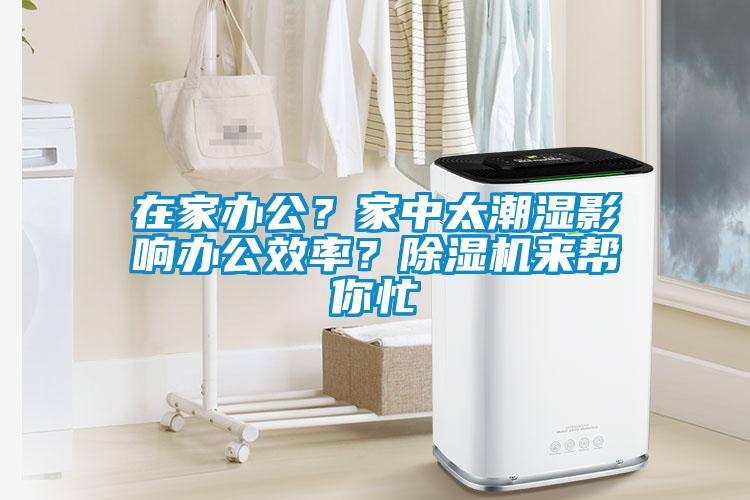 在家辦公？家中太潮濕影響辦公效率？除濕機來幫你忙