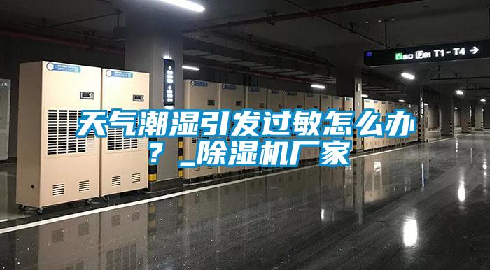 天氣潮濕引發(fā)過敏怎么辦？_除濕機(jī)廠家