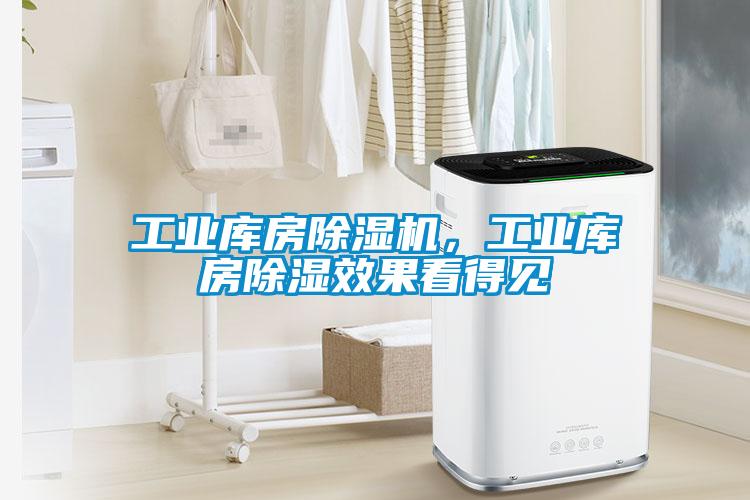 工業(yè)庫房除濕機，工業(yè)庫房除濕效果看得見