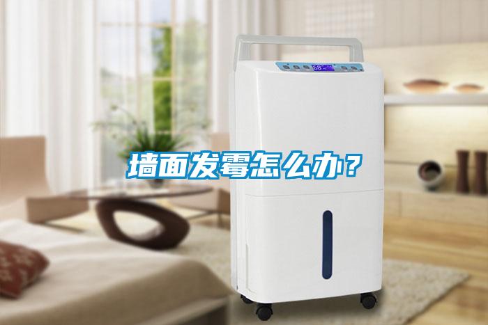 墻面發(fā)霉怎么辦？