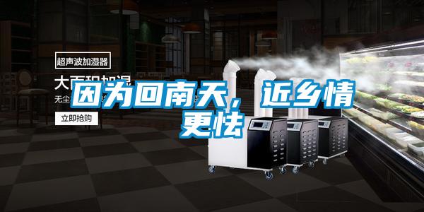 因?yàn)榛啬咸?，近鄉(xiāng)情更怯