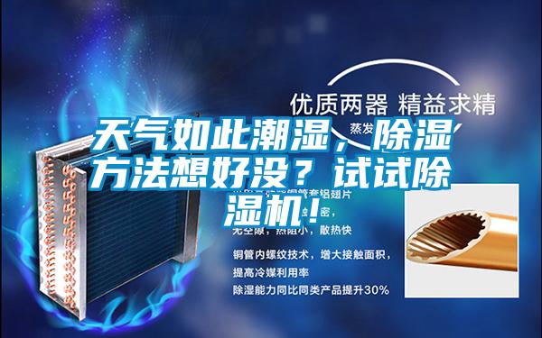 天氣如此潮濕，除濕方法想好沒？試試除濕機！