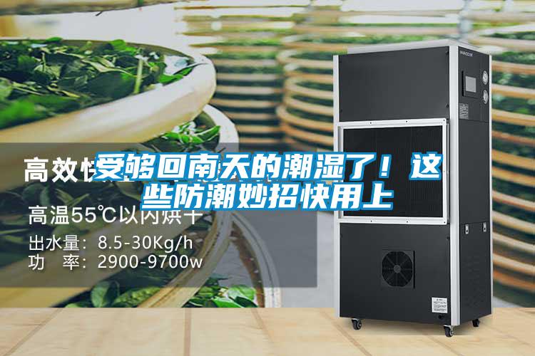 受夠回南天的潮濕了！這些防潮妙招快用上