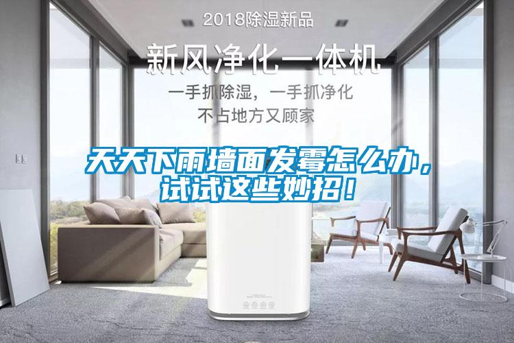 天天下雨墻面發(fā)霉怎么辦，試試這些妙招！