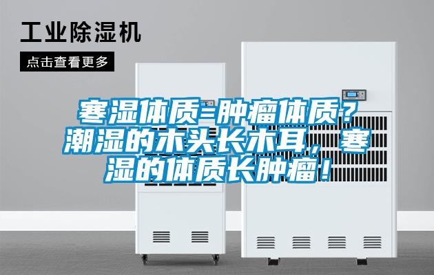 寒濕體質(zhì)=腫瘤體質(zhì)？潮濕的木頭長木耳，寒濕的體質(zhì)長腫瘤！