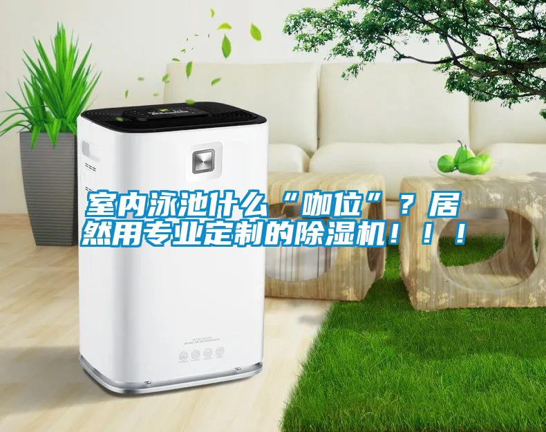 室內(nèi)泳池什么“咖位”？居然用專業(yè)定制的除濕機(jī)?。?！