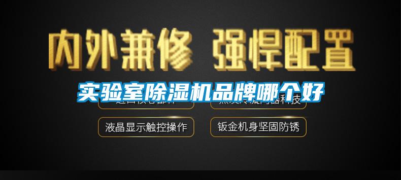 實(shí)驗(yàn)室除濕機(jī)品牌哪個好