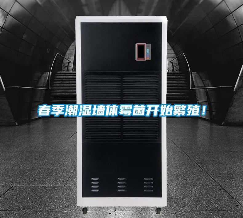 春季潮濕墻體霉菌開始繁殖！