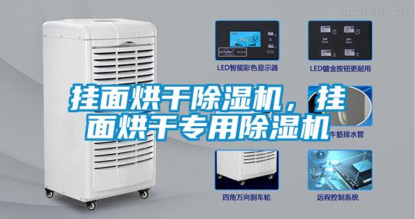 掛面烘干除濕機(jī)，掛面烘干專用除濕機(jī)