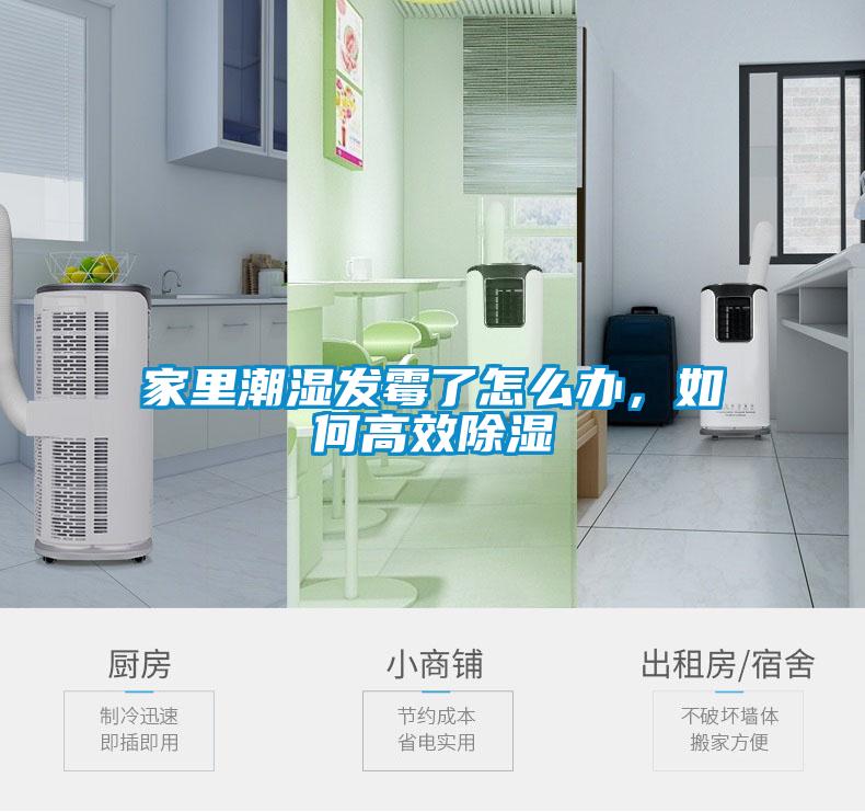 家里潮濕發(fā)霉了怎么辦，如何高效除濕