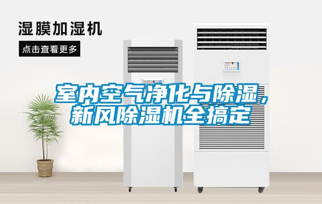 室內(nèi)空氣凈化與除濕，新風(fēng)除濕機(jī)全搞定