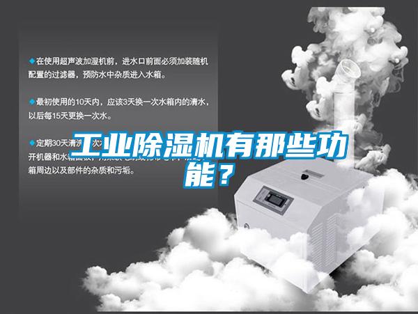工業(yè)除濕機有那些功能？