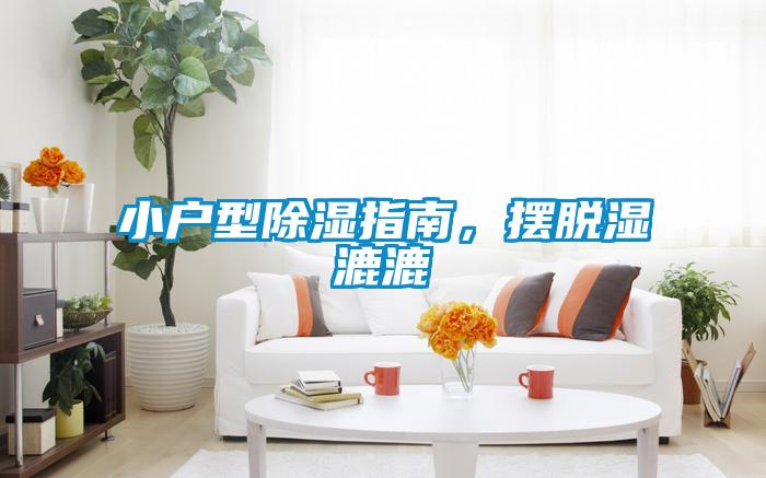 小戶(hù)型除濕指南，擺脫濕漉漉