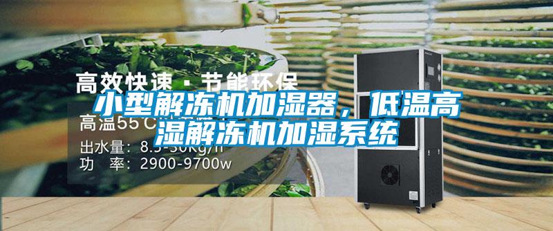 小型解凍機(jī)加濕器，低溫高濕解凍機(jī)加濕系統(tǒng)