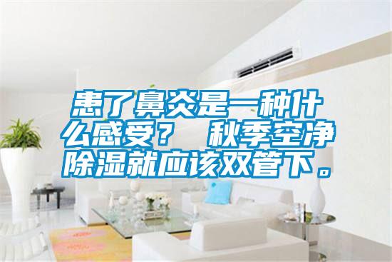 患了鼻炎是一種什么感受？ 秋季空凈除濕就應(yīng)該雙管下。
