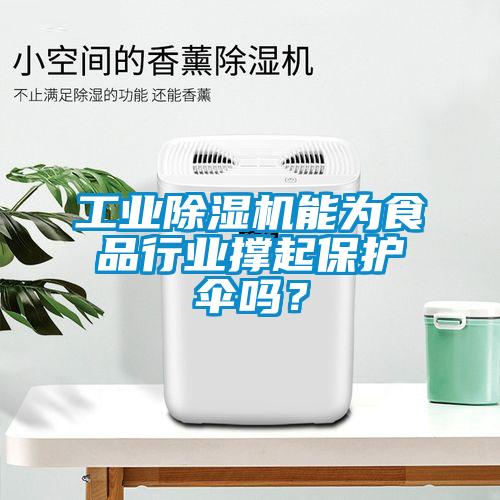 工業(yè)除濕機(jī)能為食品行業(yè)撐起保護(hù)傘嗎？