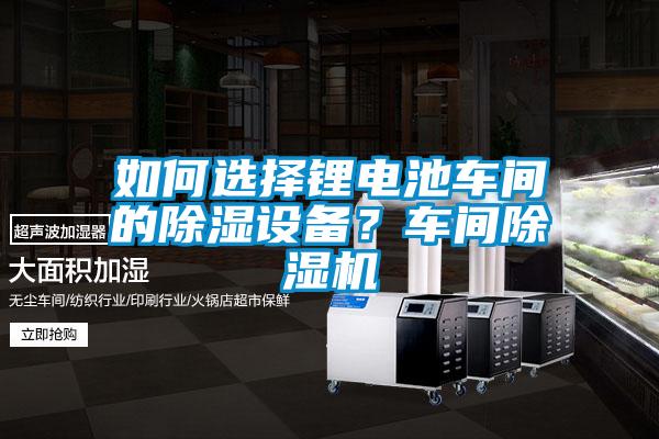 如何選擇鋰電池車間的除濕設(shè)備？車間除濕機(jī)