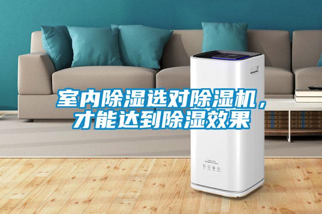 室內(nèi)除濕選對(duì)除濕機(jī)，才能達(dá)到除濕效果