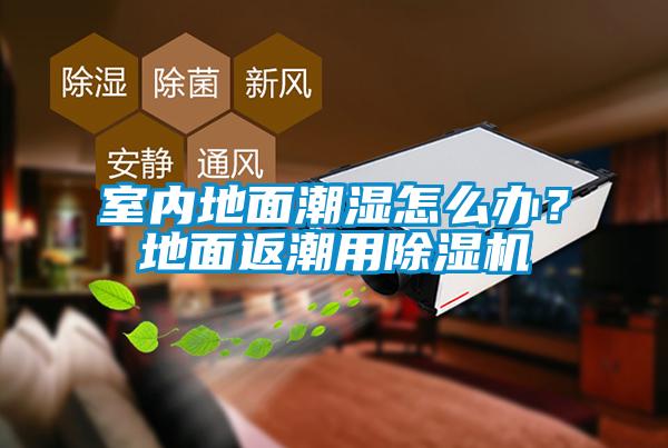 室內(nèi)地面潮濕怎么辦？地面返潮用除濕機(jī)