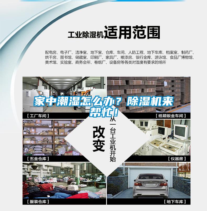 家中潮濕怎么辦？除濕機來幫忙！
