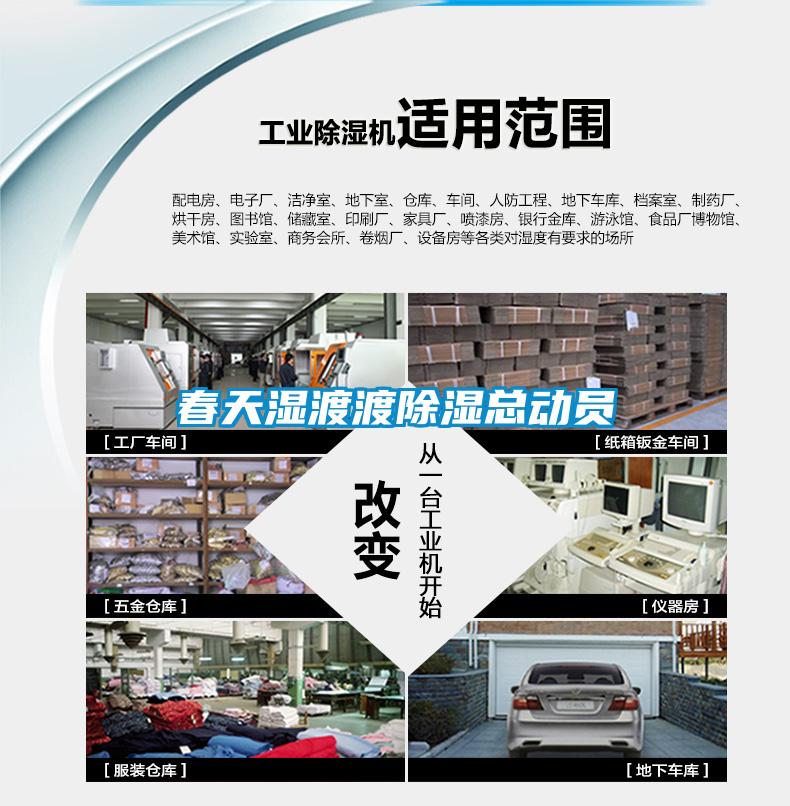 春天濕渡渡除濕總動(dòng)員