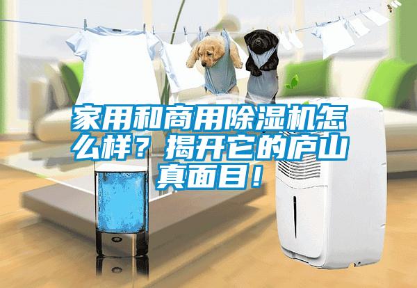 家用和商用除濕機怎么樣？揭開它的廬山真面目！