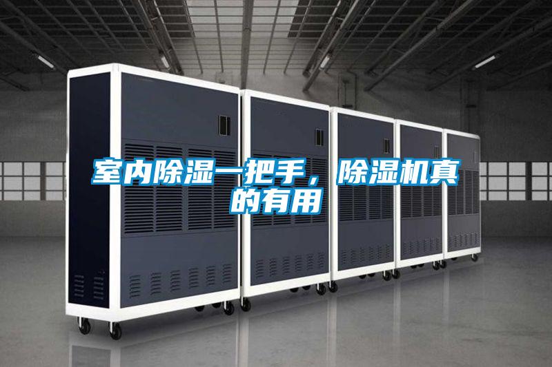 室內(nèi)除濕一把手，除濕機真的有用