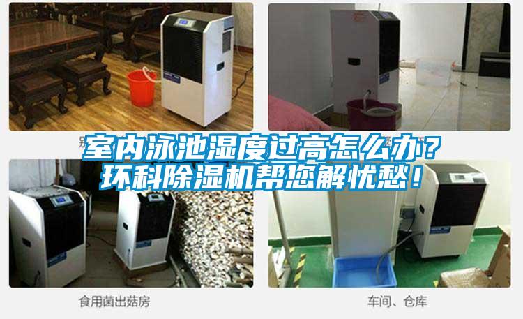 室內(nèi)泳池濕度過高怎么辦？環(huán)科除濕機幫您解憂愁！