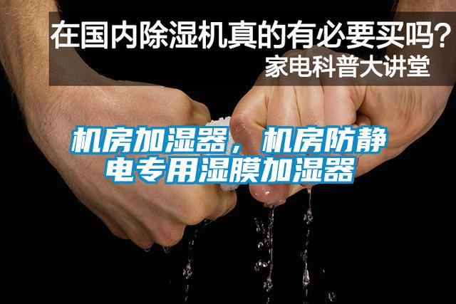 機(jī)房加濕器，機(jī)房防靜電專用濕膜加濕器