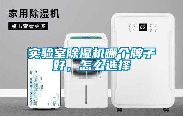 實驗室除濕機哪個牌子好，怎么選擇