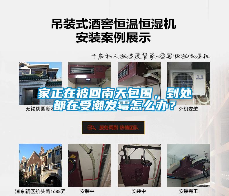 家正在被回南天包圍，到處都在受潮發(fā)霉怎么辦？