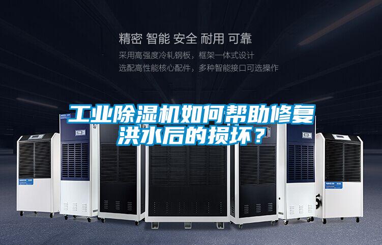 工業(yè)除濕機如何幫助修復洪水后的損壞？